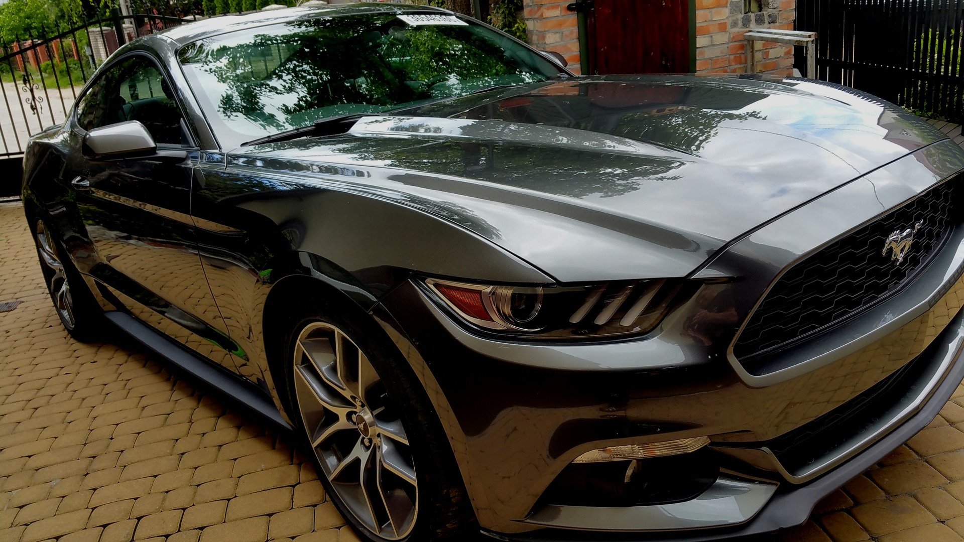 Mustang GT