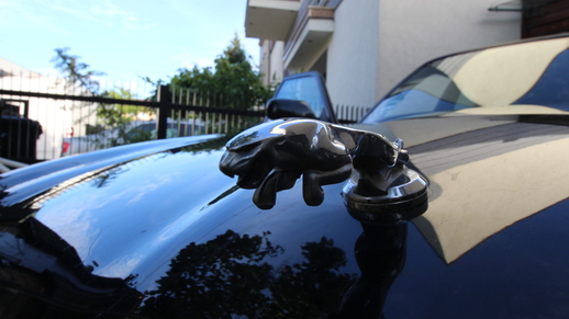 Jaguar
