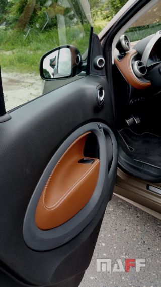 Panele drzwiowe Smart Fortwo - 5