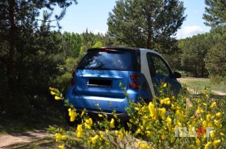Tapicerka samochodowa Smart Fortwo - 19